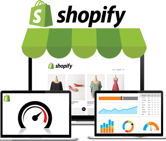Shopify API and Flash Integration​